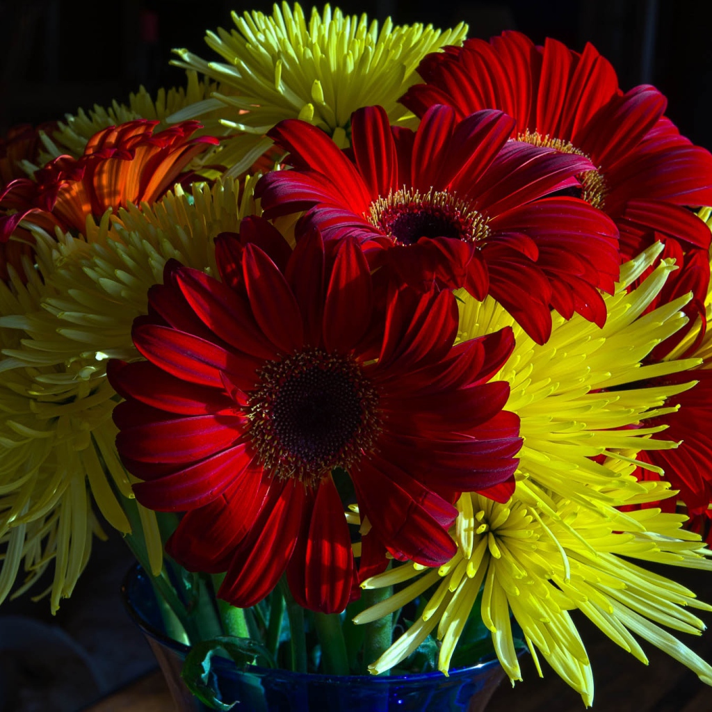 Букет желтых хризантем с красными герберами 