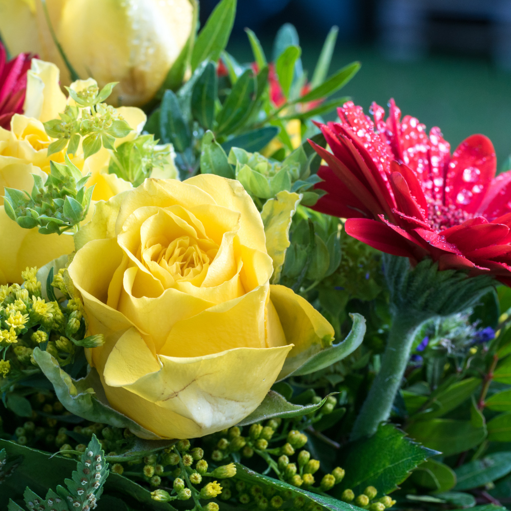 Букет желтых роз с красными цветами герберы 