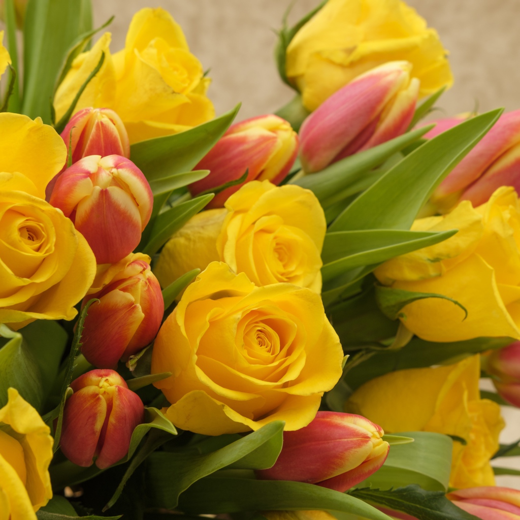Букет желтых  роз с тюльпанами