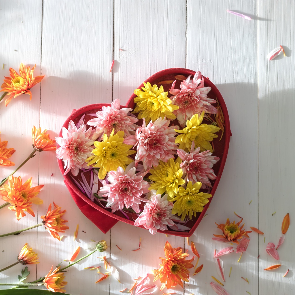 Коробка в форме сердца с цветами хризантемы