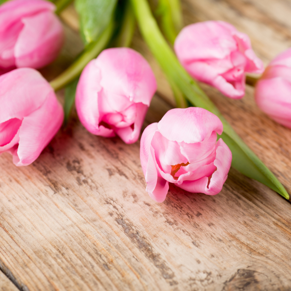 Нежные розовые тюльпаны на деревянном столе
