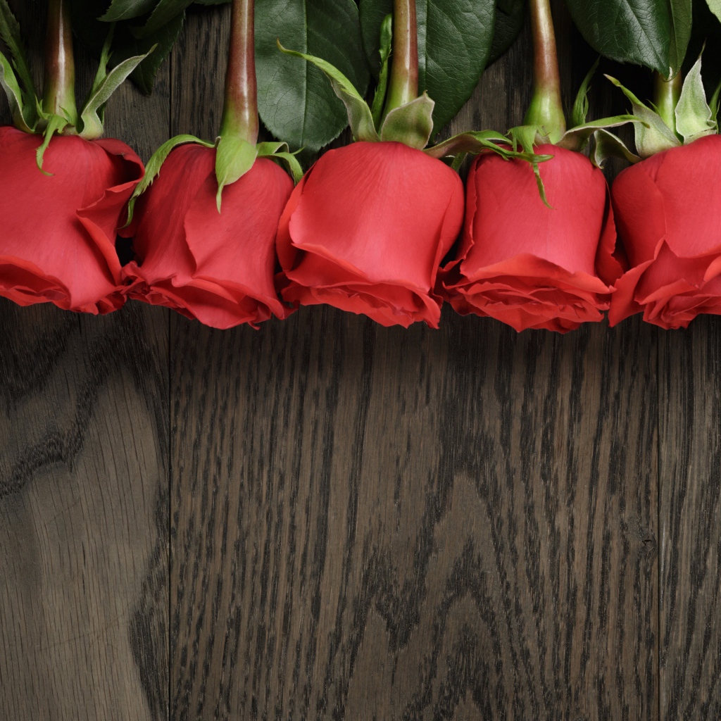Пять красных роз на деревянной поверхности, шаблон для открытки