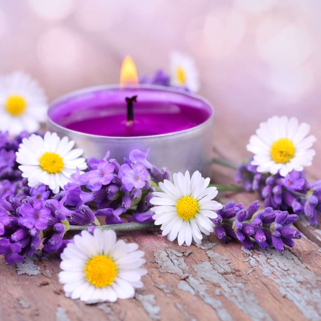 Зажженная свеча с цветами ромашки и лаванды