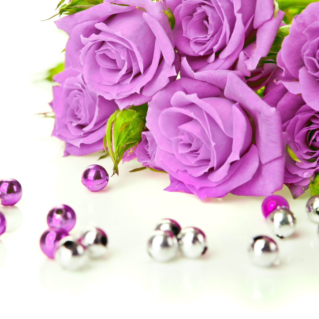Сиреневые розы с бусинами на белом фоне