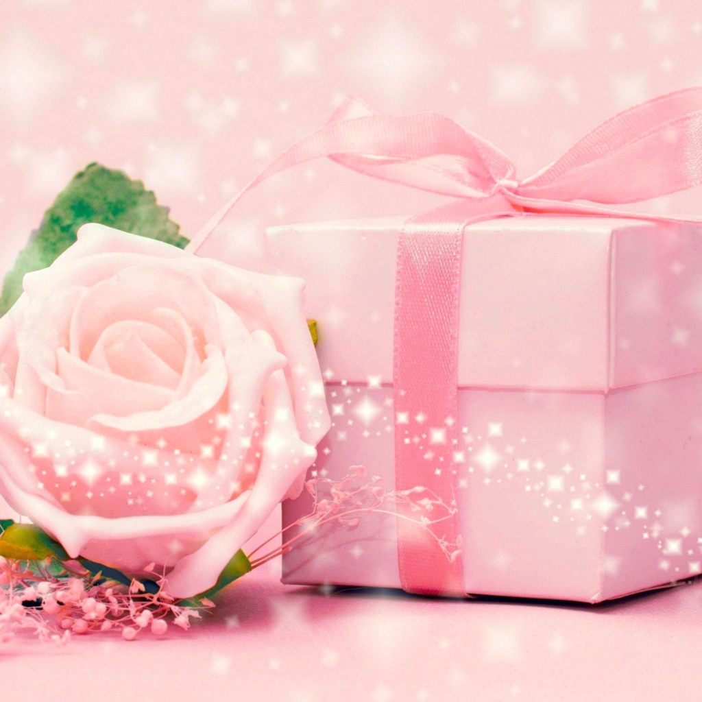 Розовая коробка с подарком и розовой розой 