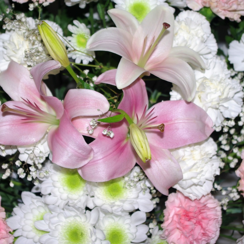 Розовые лилии с белыми и розовыми гвоздиками