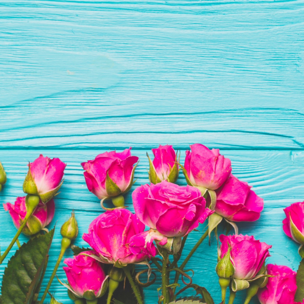 Розовые розы на голубом деревянном фоне
