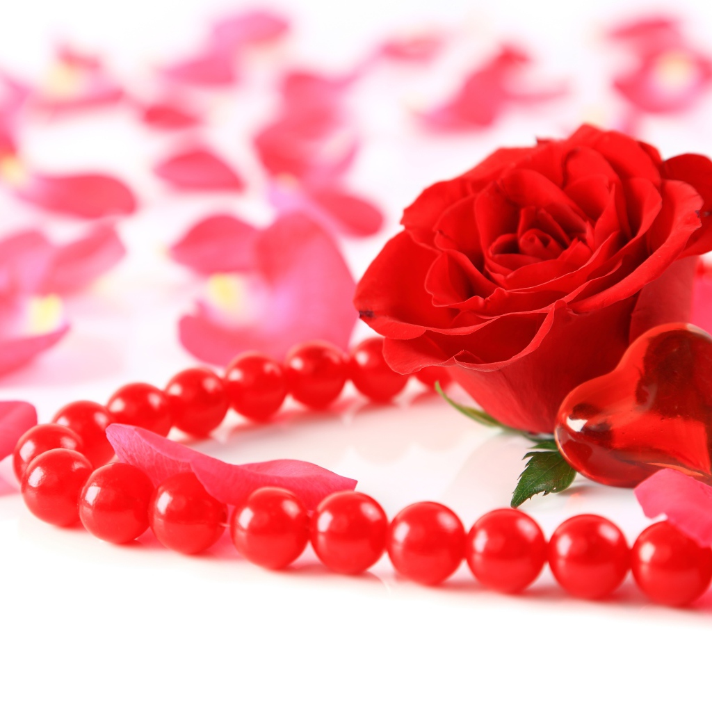 Красная роза с бусами и маленьким красным сердечком