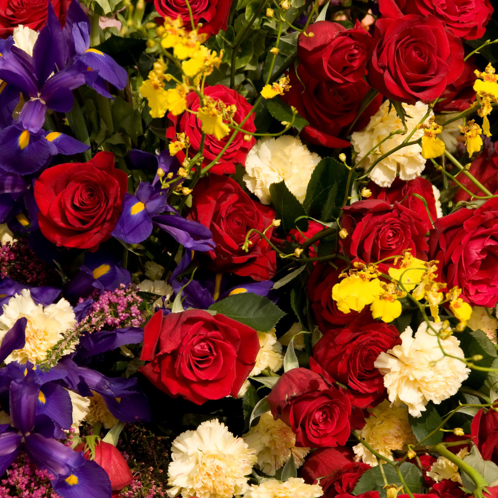 Розы, ирисы, гвоздики, орхидеи крупным планом