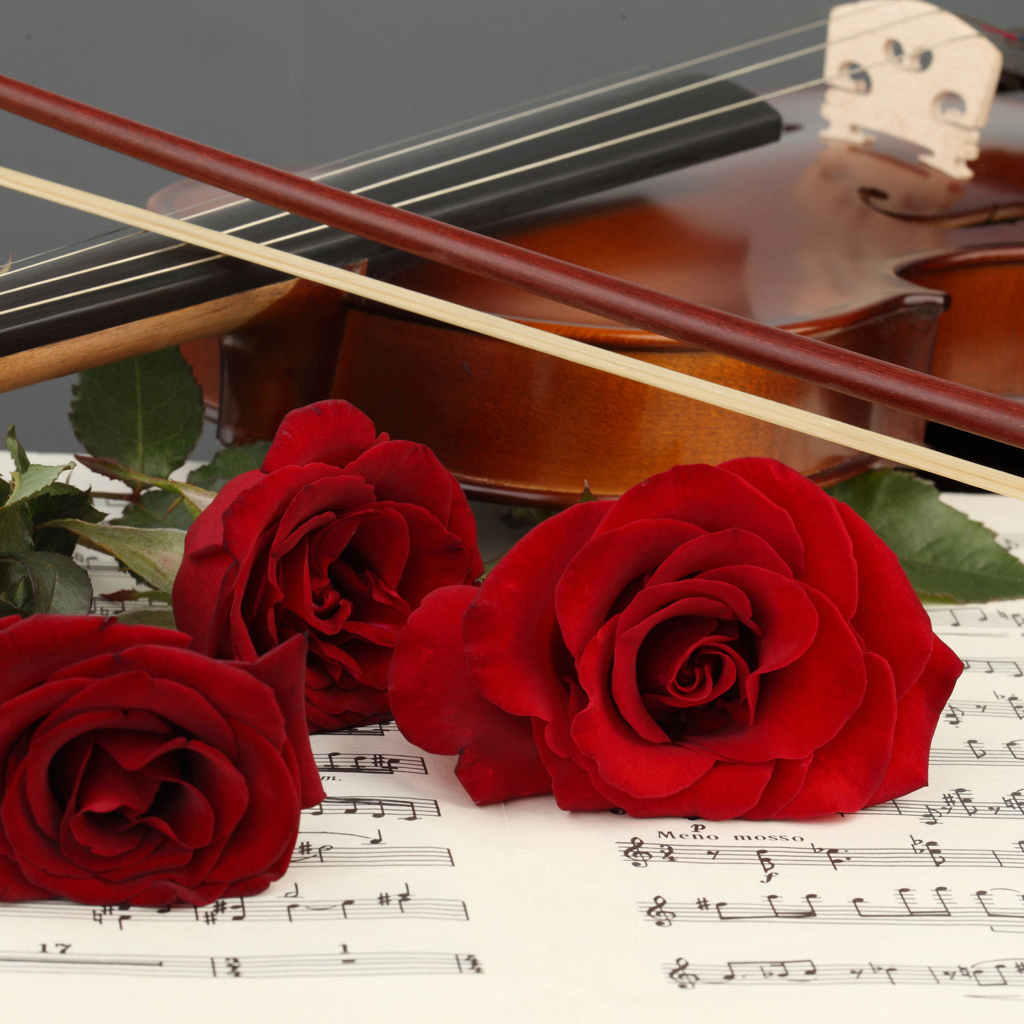 Три красные розы лежат на нотной тетради со скрипкой
