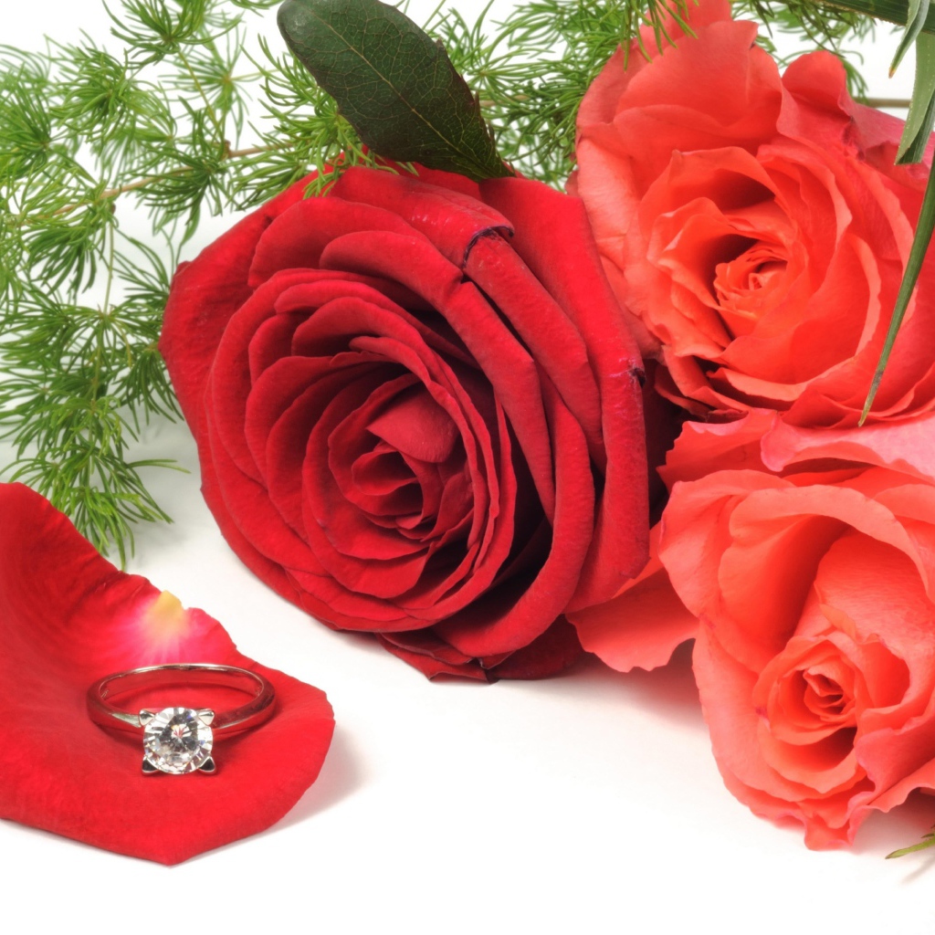 Три красных розы с красивым кольцом с бриллиантом