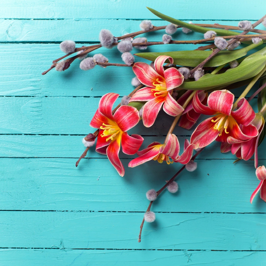 Тюльпаны с веточками вербы на голубом фоне