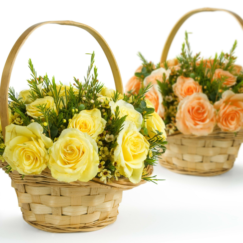 Желтые и оранжевые розы в корзинках на белом фоне