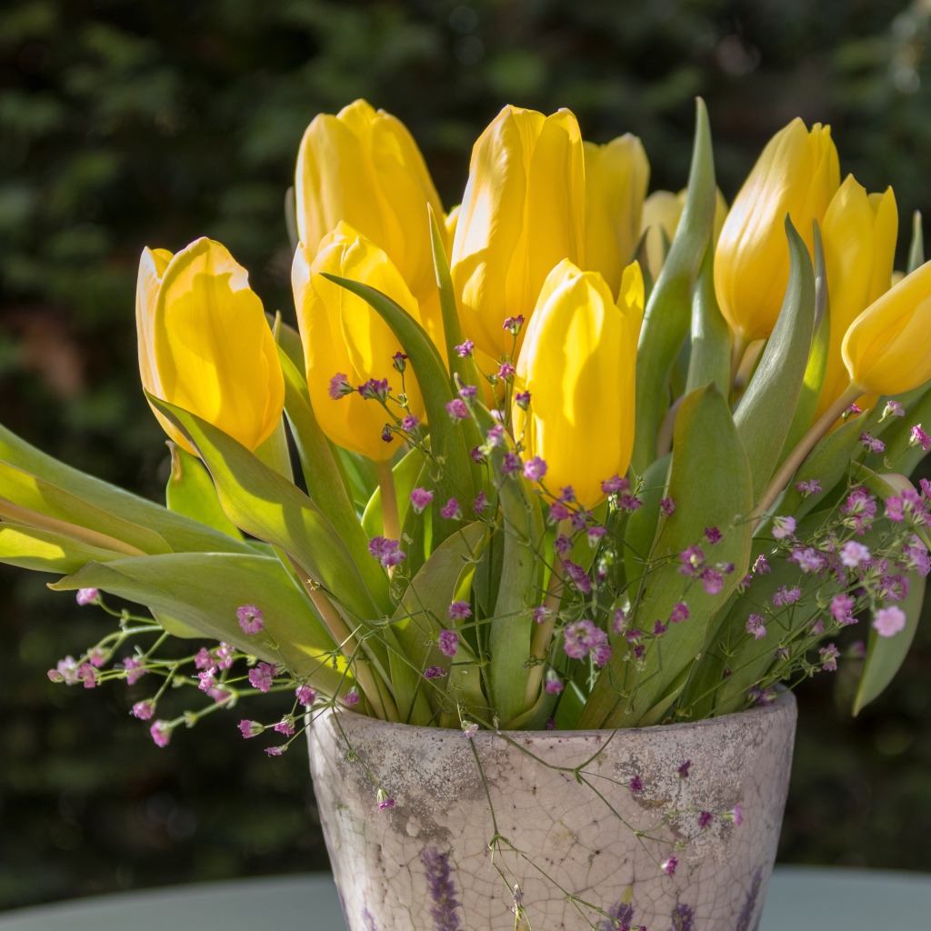 Желтые тюльпаны с цветами гипсофилы в вазе
