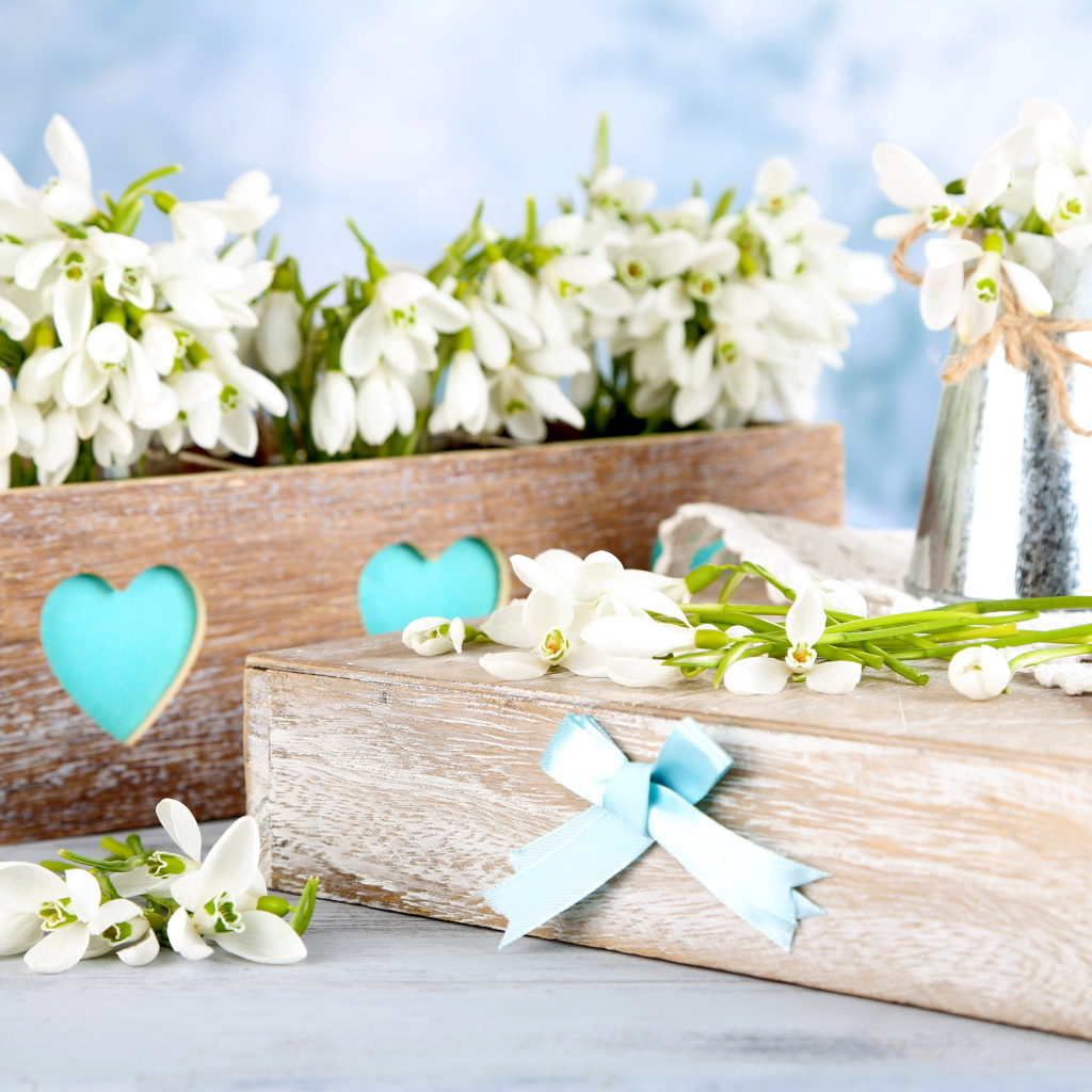 Красивые нежные белые подснежники в деревянном ящике
