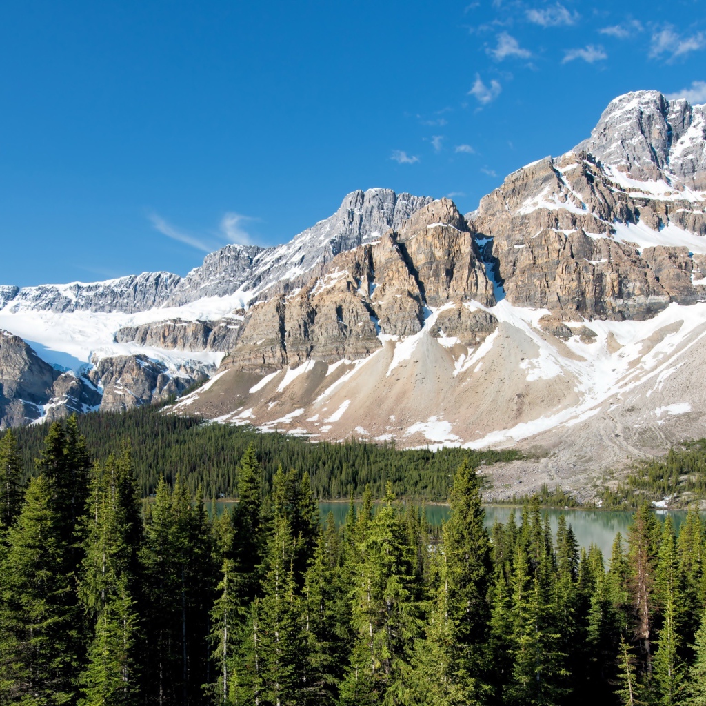 Заснеженные горы с озера у зеленого леса под голубым небом