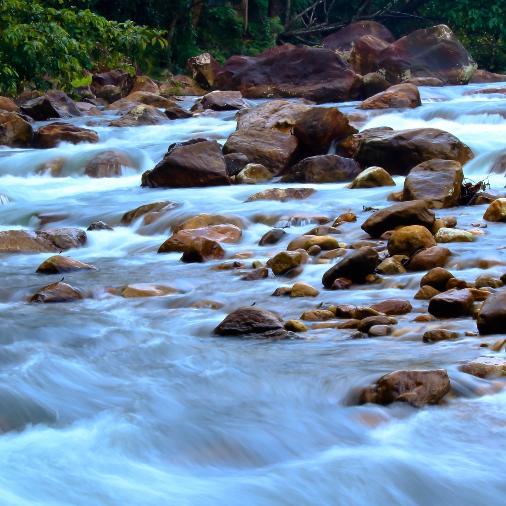 Быстрая горная река стекает по камням