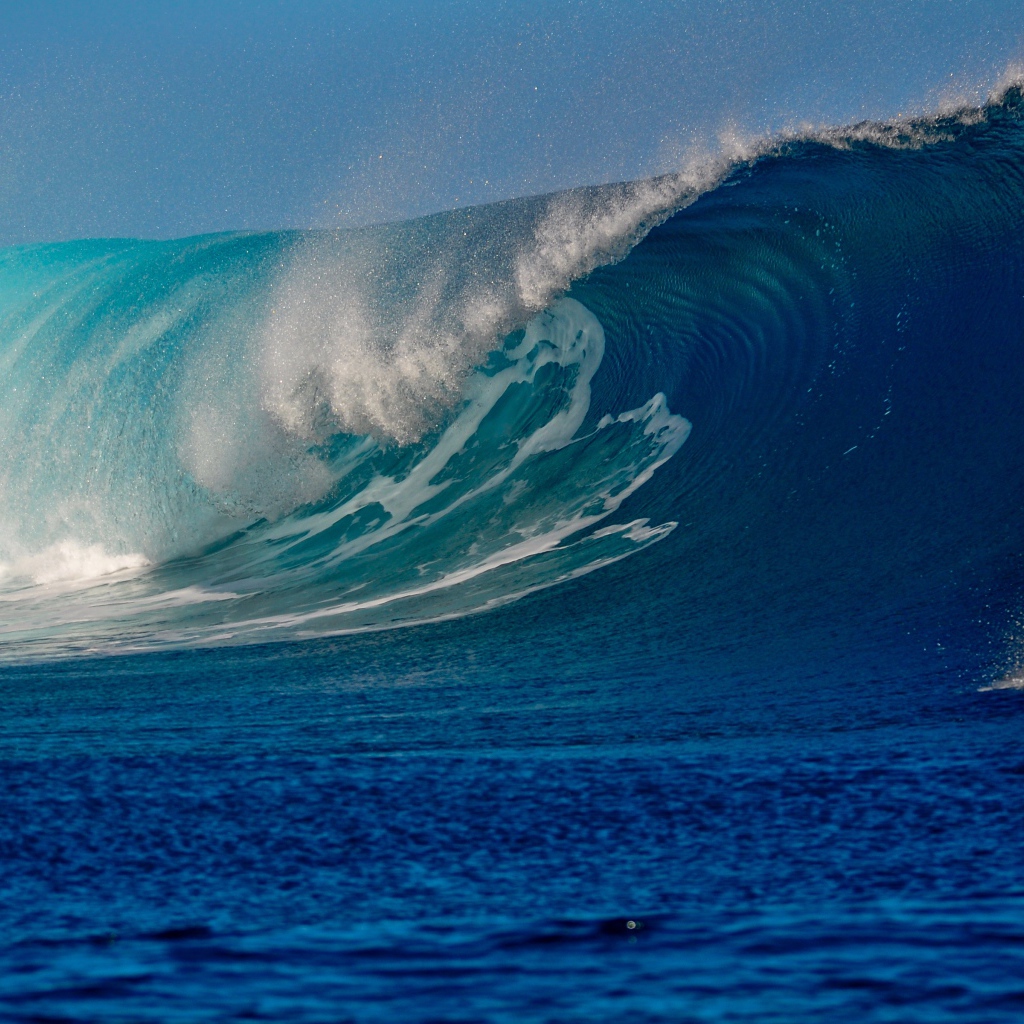 Высокая красивая волна в море