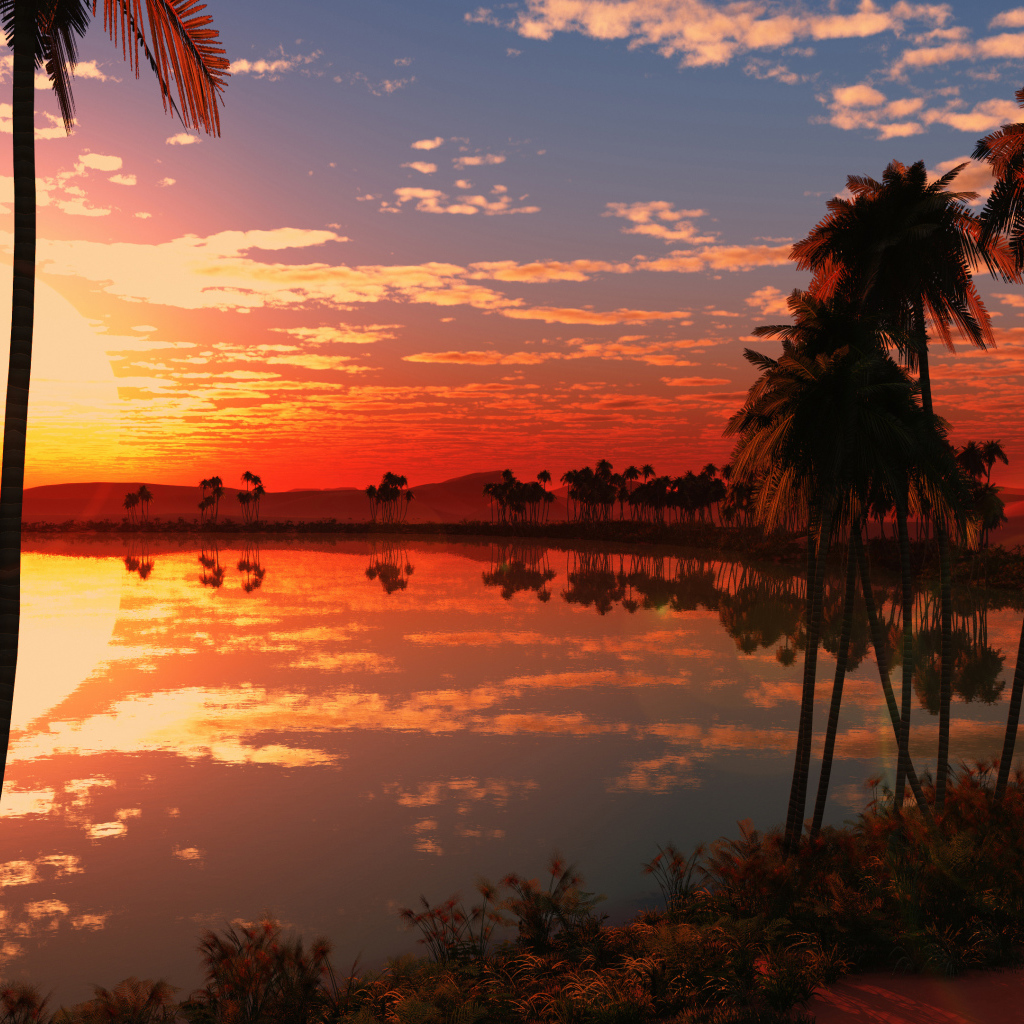 Красивый закат солнца на тропическом пляже