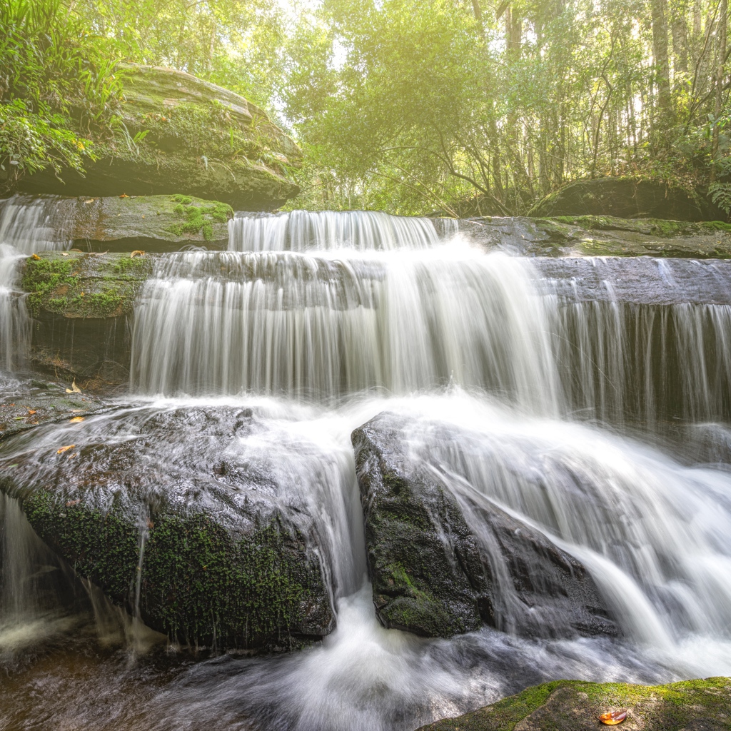 Лесной водопад стекает по камням