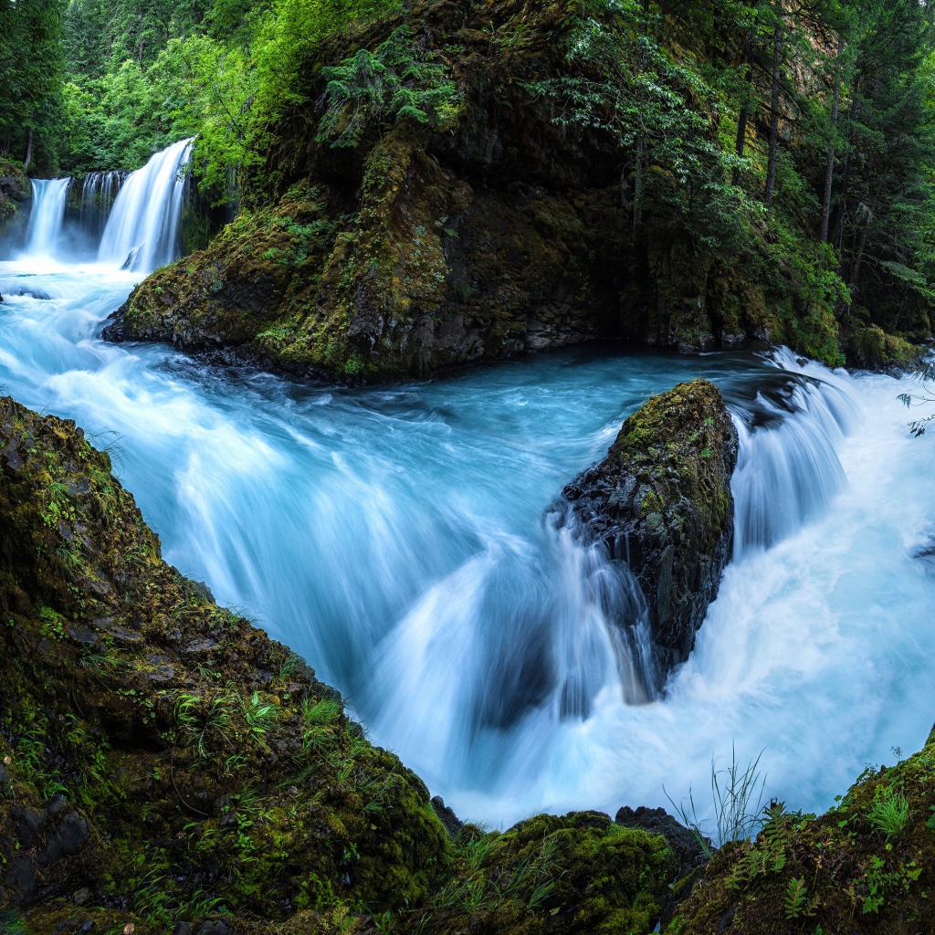 Быстрый лесной водопад бежит по мокрым камням