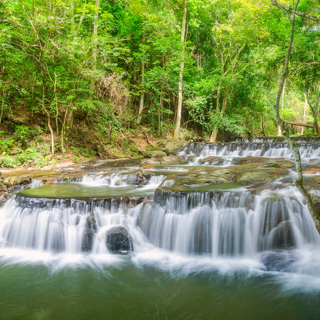 Быстрый лесной маленький водопад 