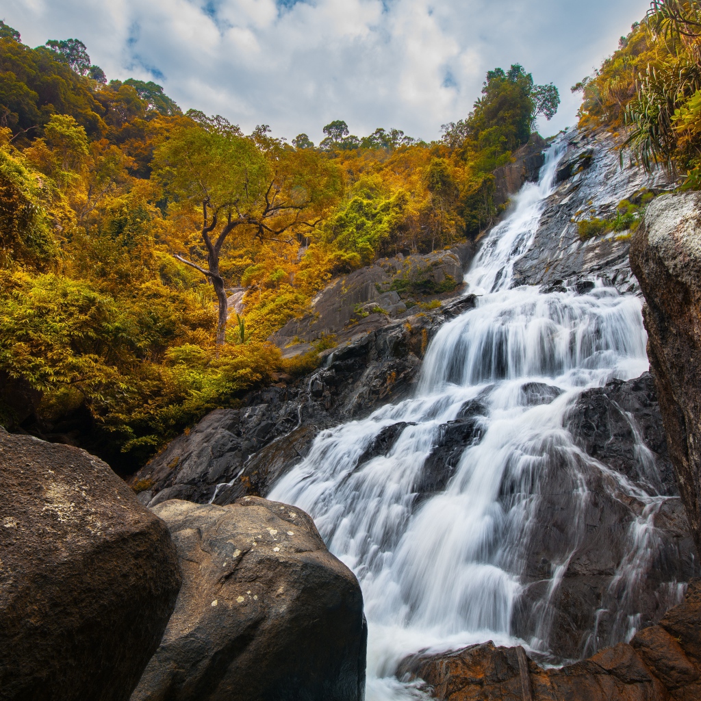 Водопад стекает со скалы на фоне леса осенью