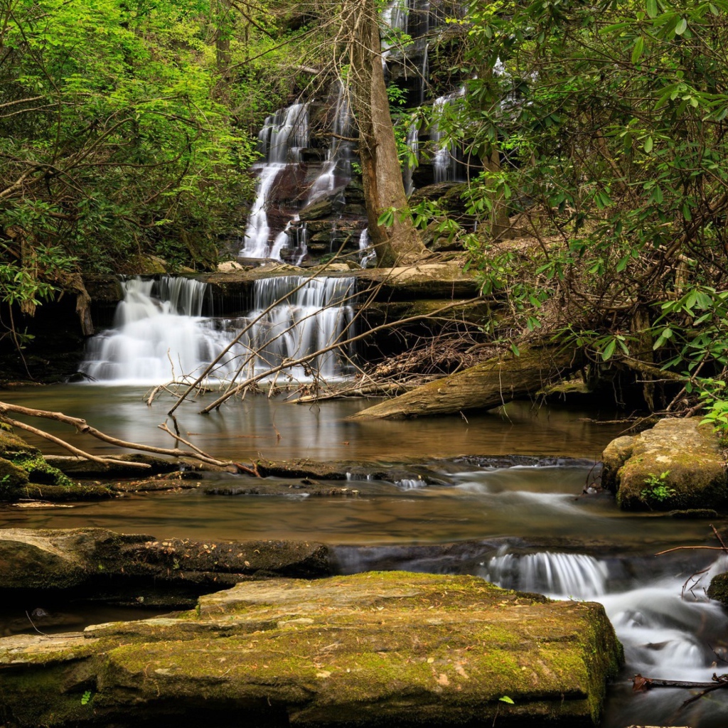 Водопад стекает по камням в лесу