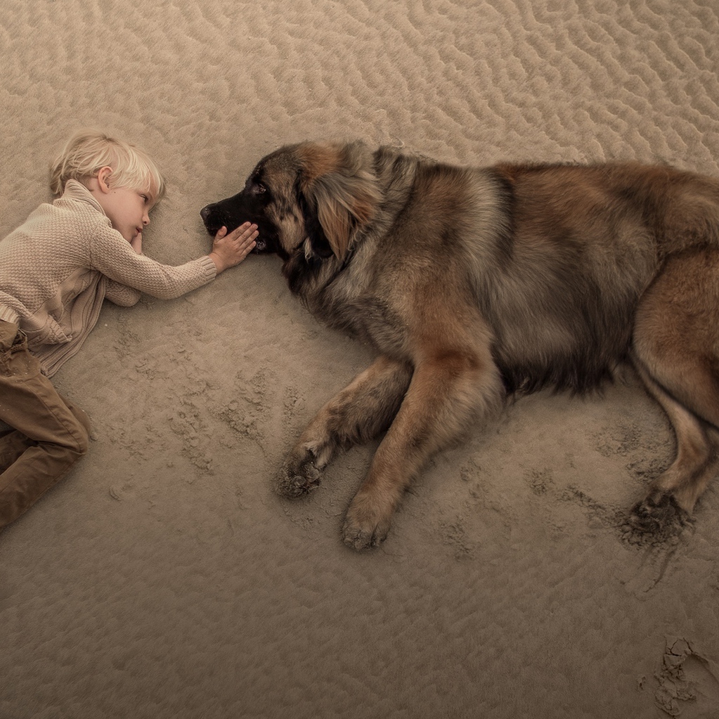 Маленький мальчик лежит на песке с большой собакой
