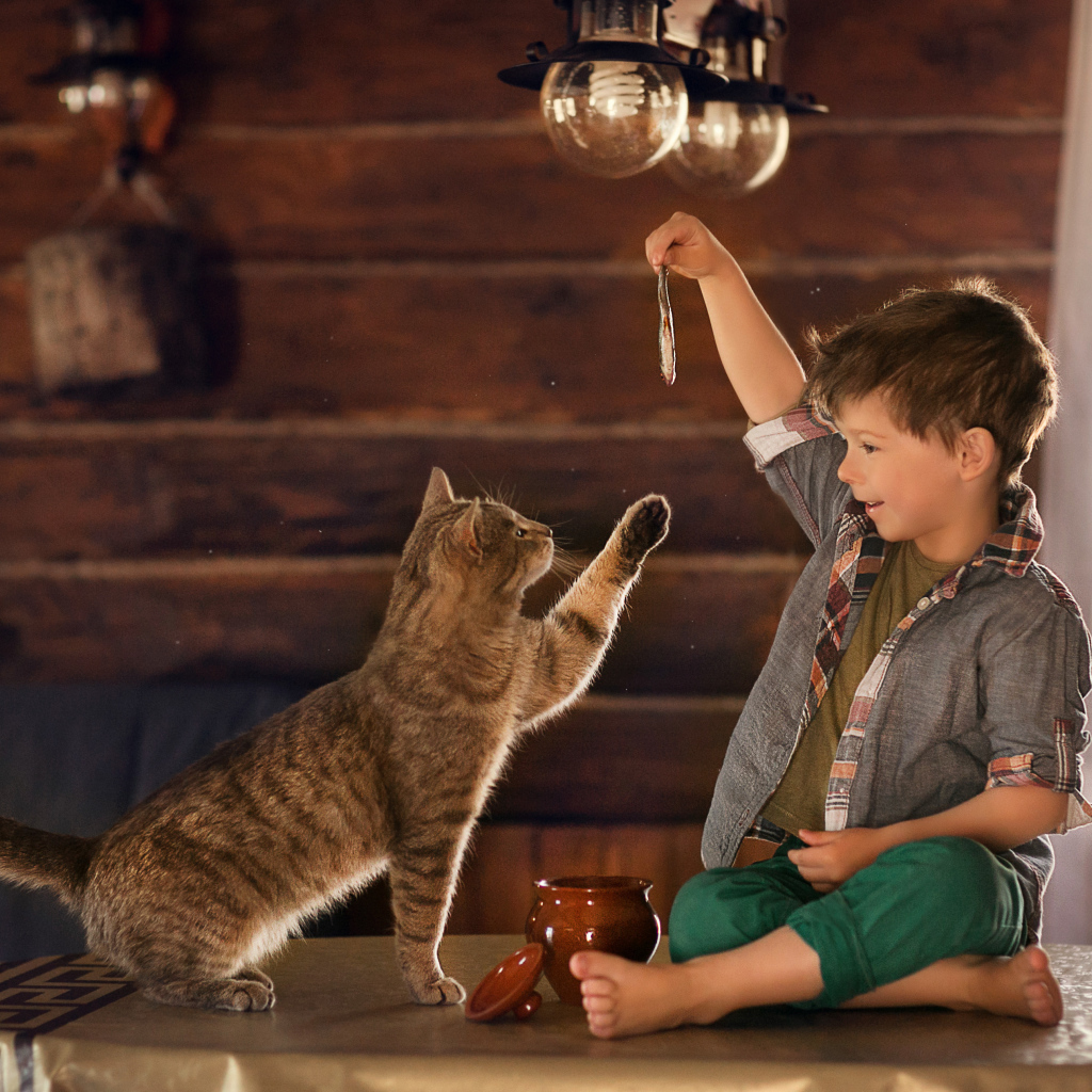 Маленький мальчик дразнит рыбой серого кота