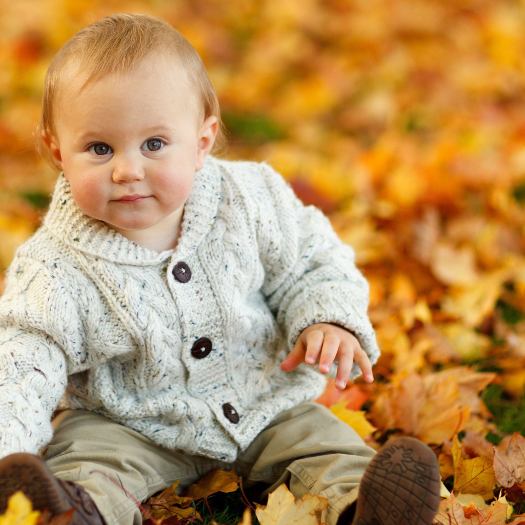Маленький ребеной сидит на желтой опавшей листве осенью