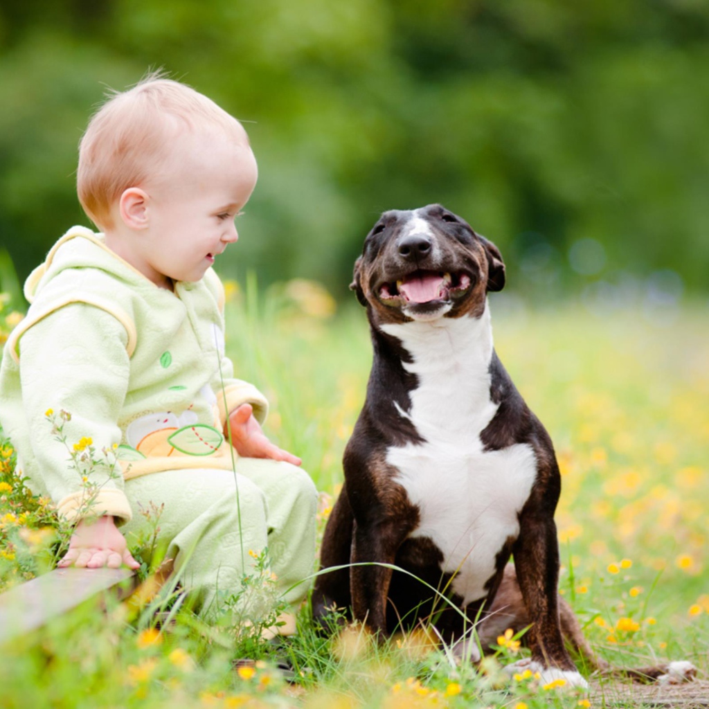 Маленький ребенок сидит с довольной собакой