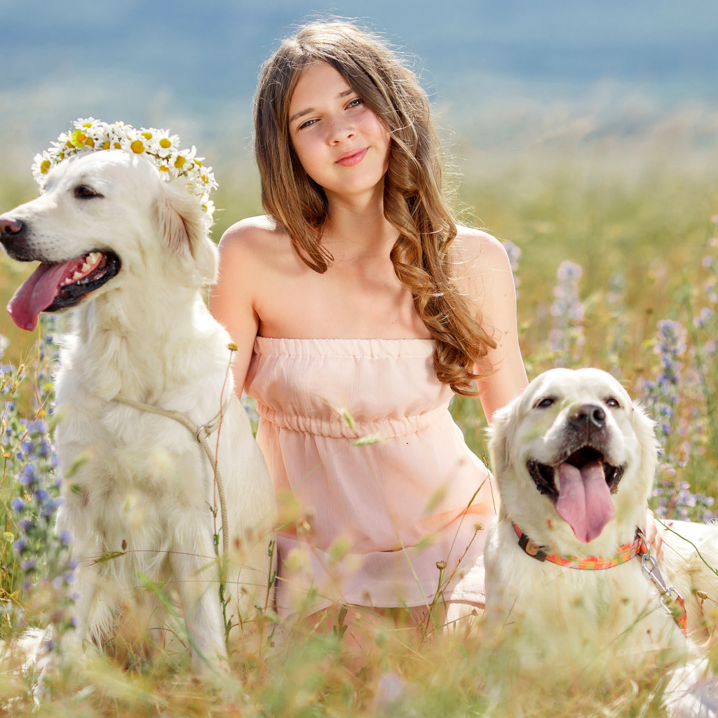 Красивая девочка с собаками в поле