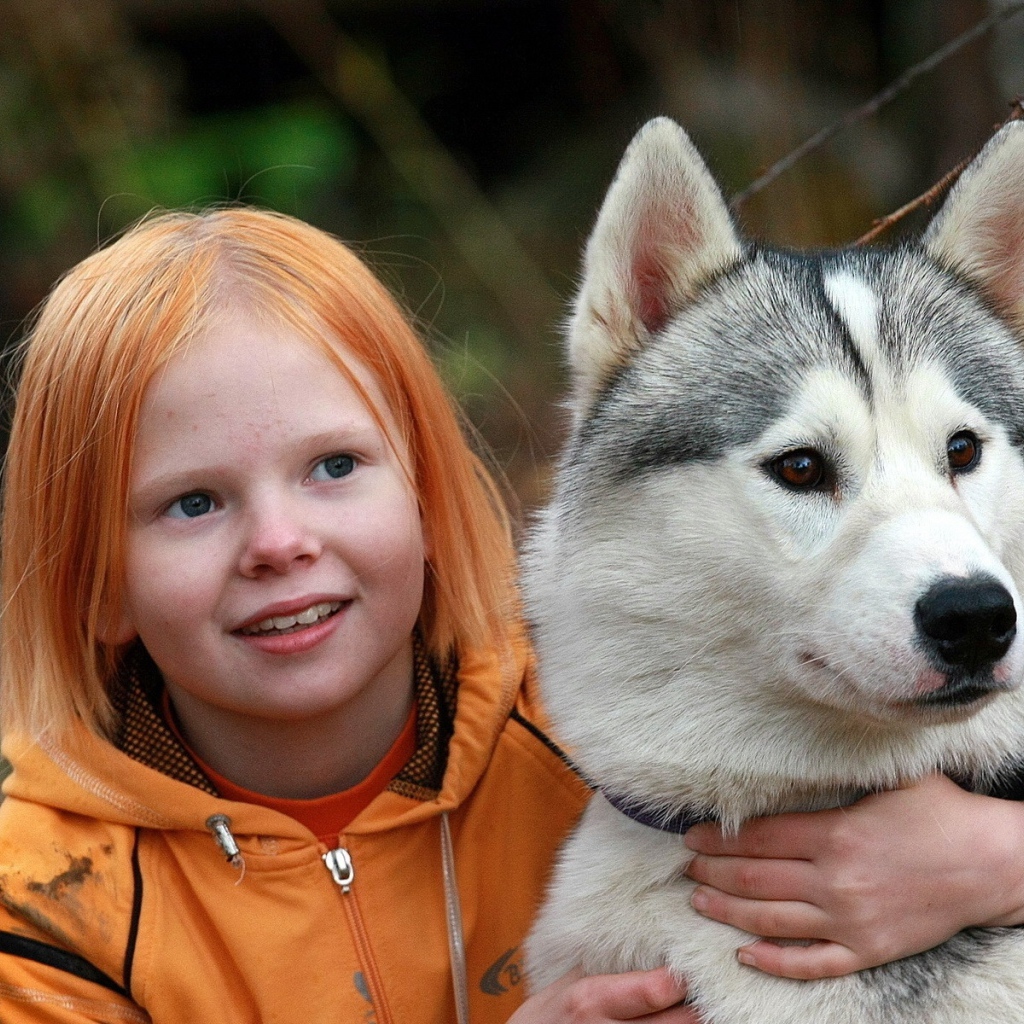 Маленькая рыжеволосая девочка с собакой породы хаски