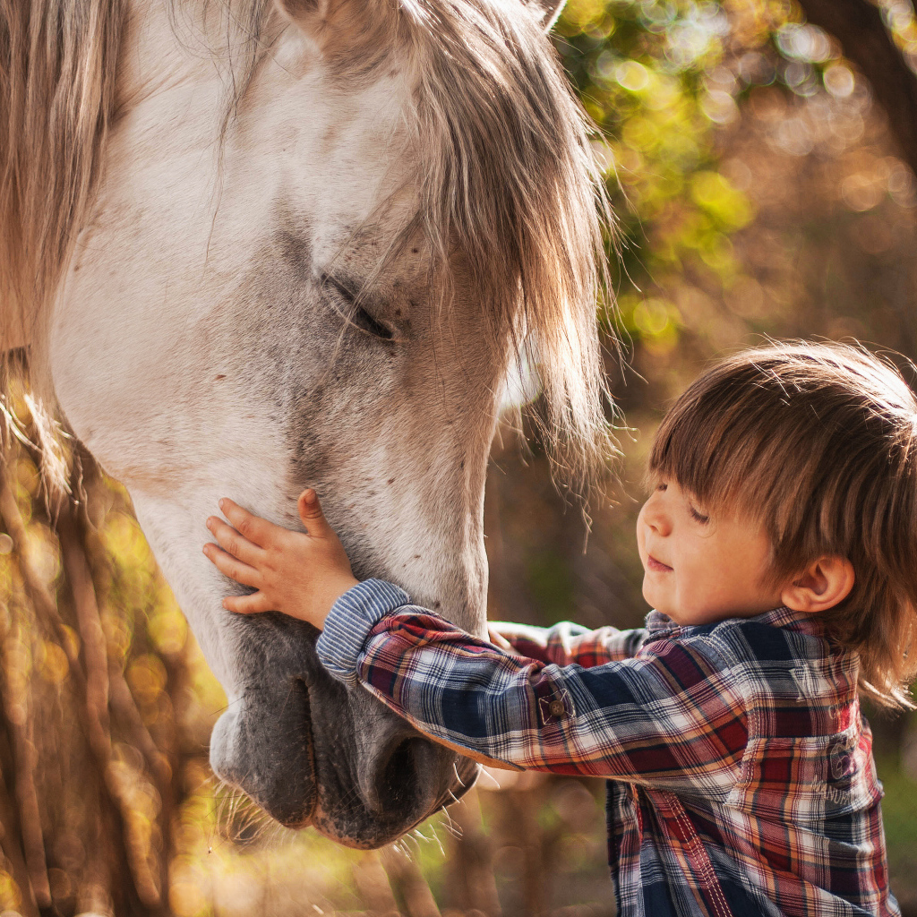 Маленький мальчик дружит с белой лошадью 