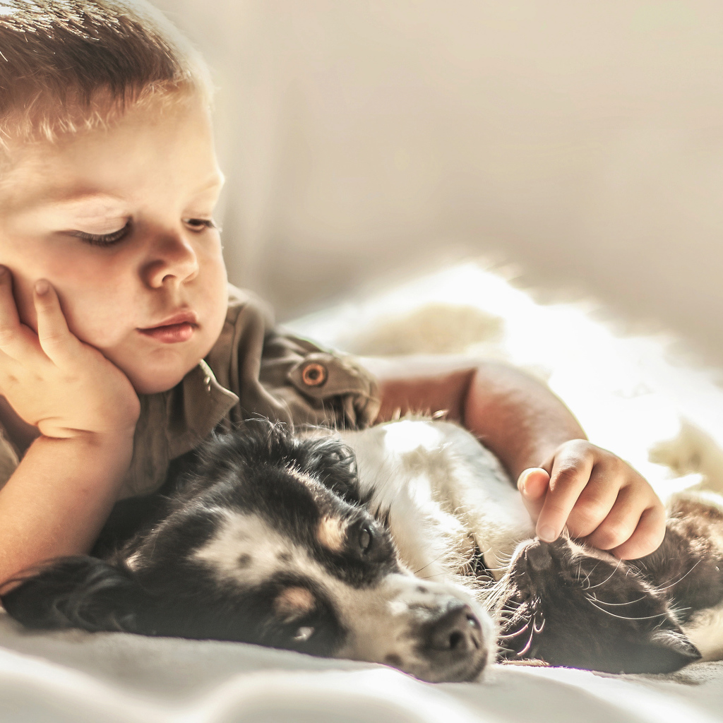 Маленький мальчик лежит с собакой и котом
