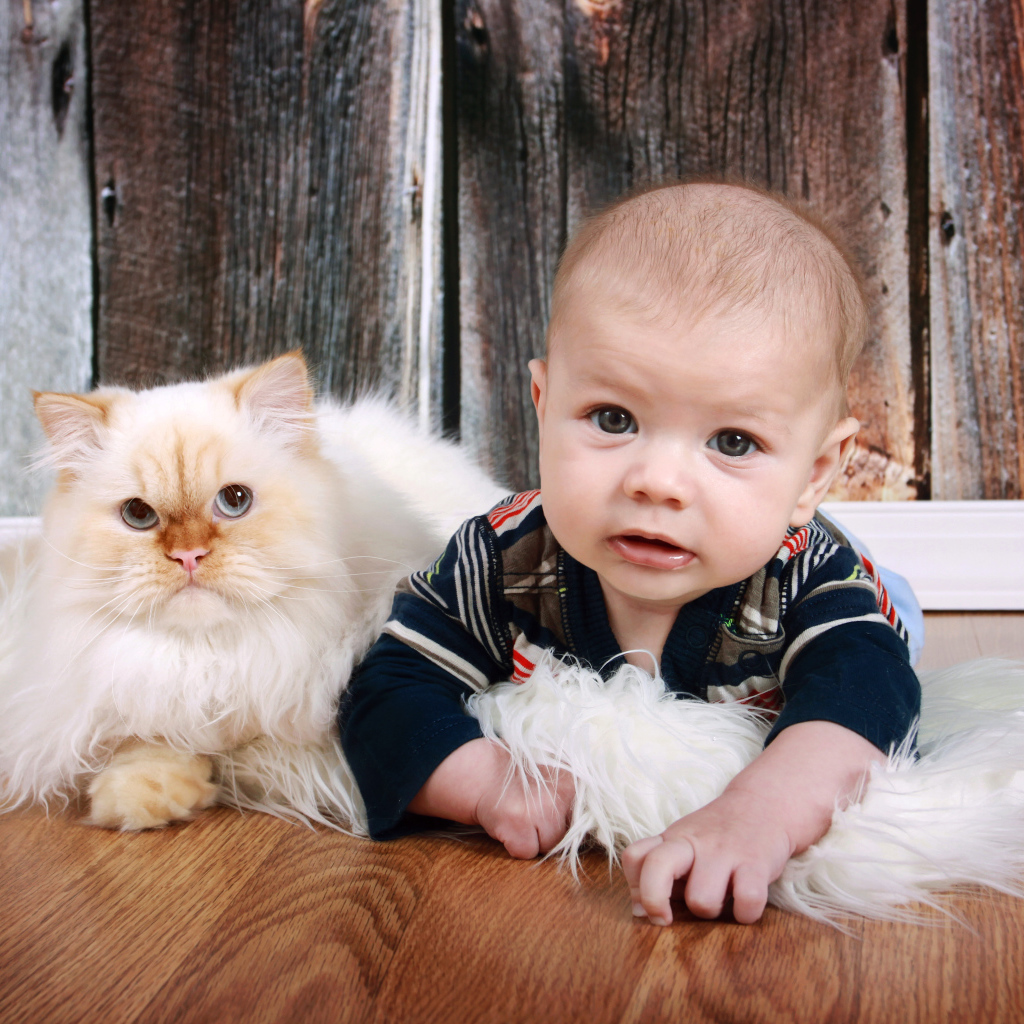 Маленький мальчик лежит на полу с котом 