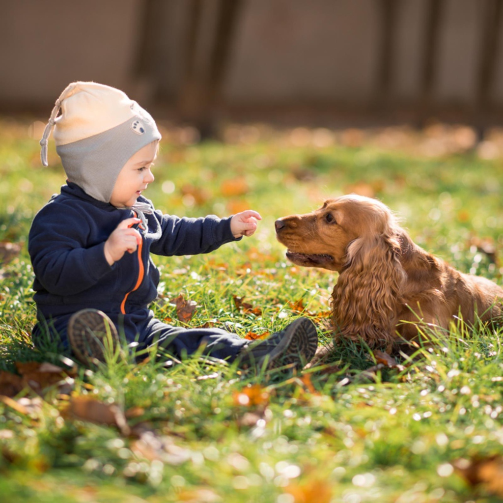Маленький мальчик сидит на траве с собакой 