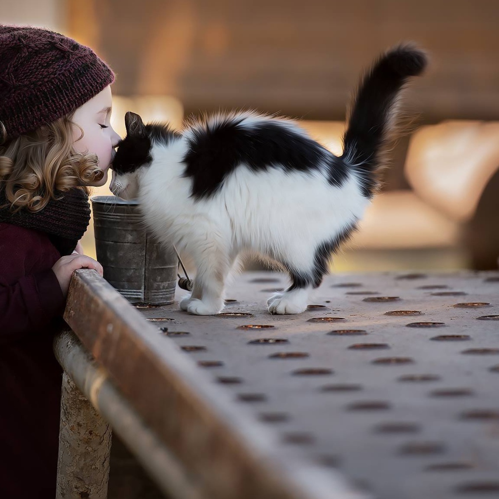 Маленькая девочка целует котенка 