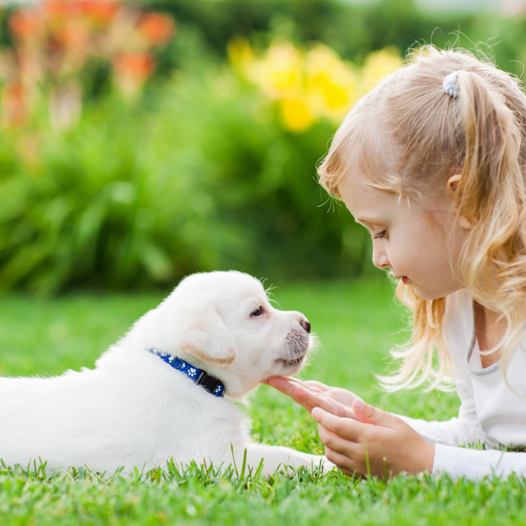 Маленькая девочка лежит на зеленой траве с щенком золотистого ретривера