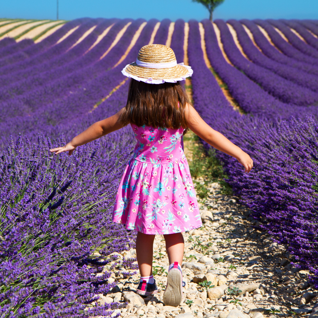 Маленькая девочка гуляет по полю с лавандой