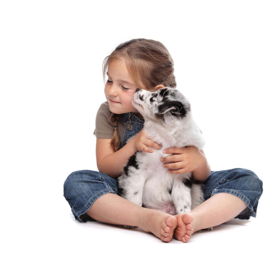 Маленькая девочка с щенком на белом фоне