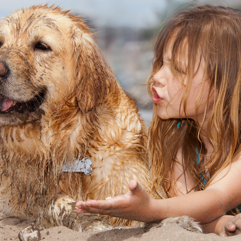 Маленькая девочка с мокрой собакой на песке