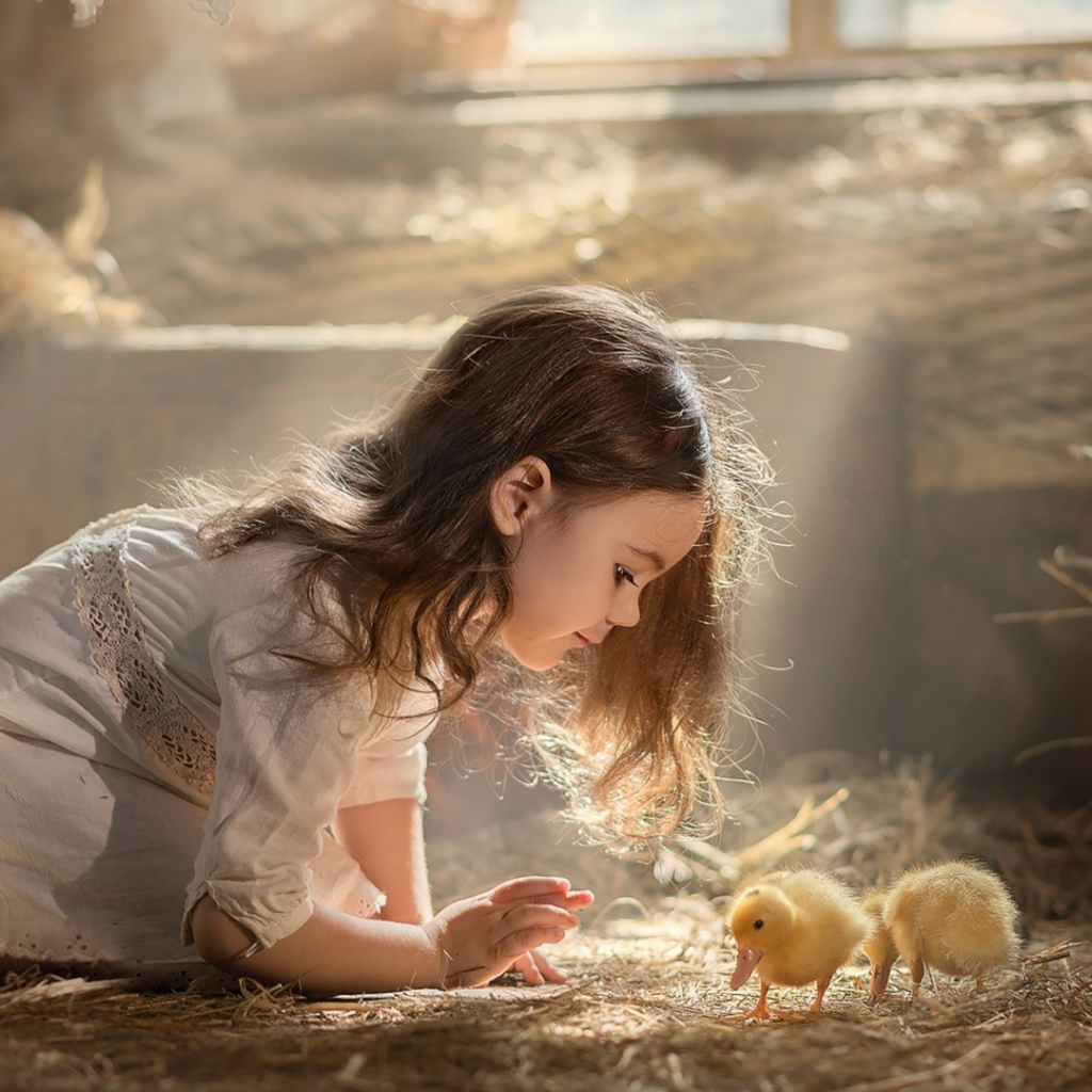 Маленькая девочка с утятами в сарае 
