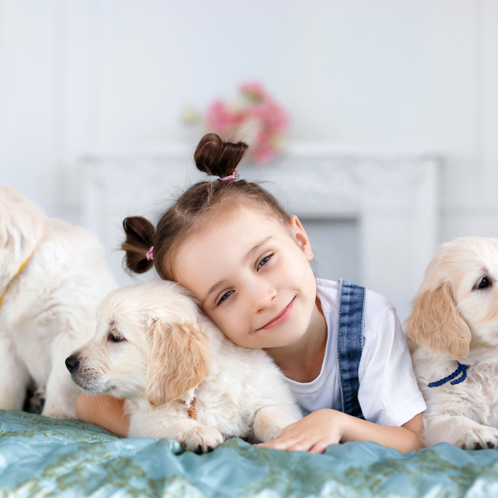 Маленькая девочка со щенками золотистого ретривера