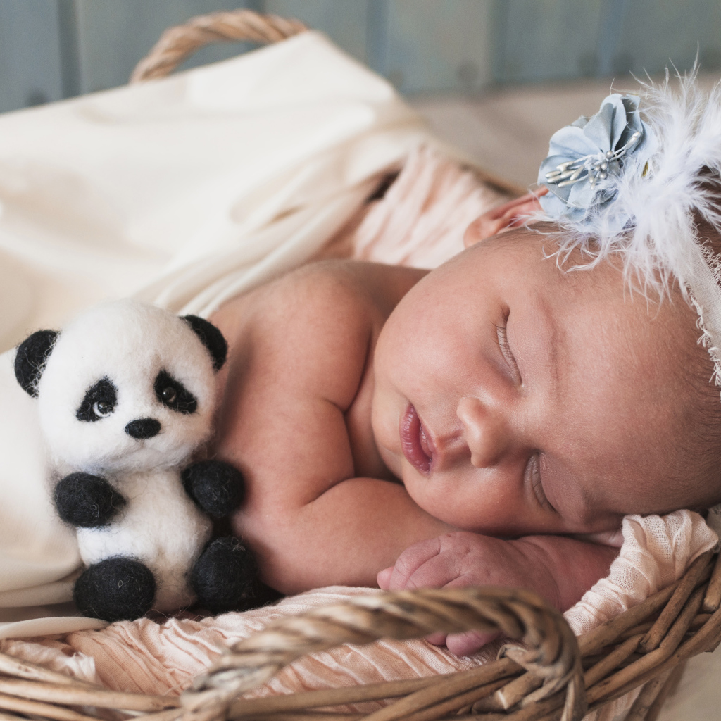 Маленькая спящая девочка с игрушечной пандой