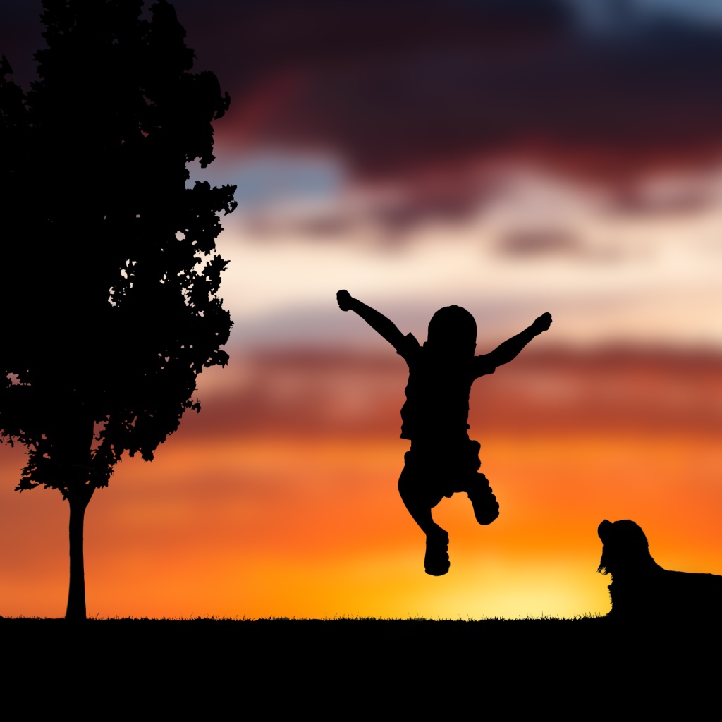 Силуэт маленького мальчика с собакой на фоне заката