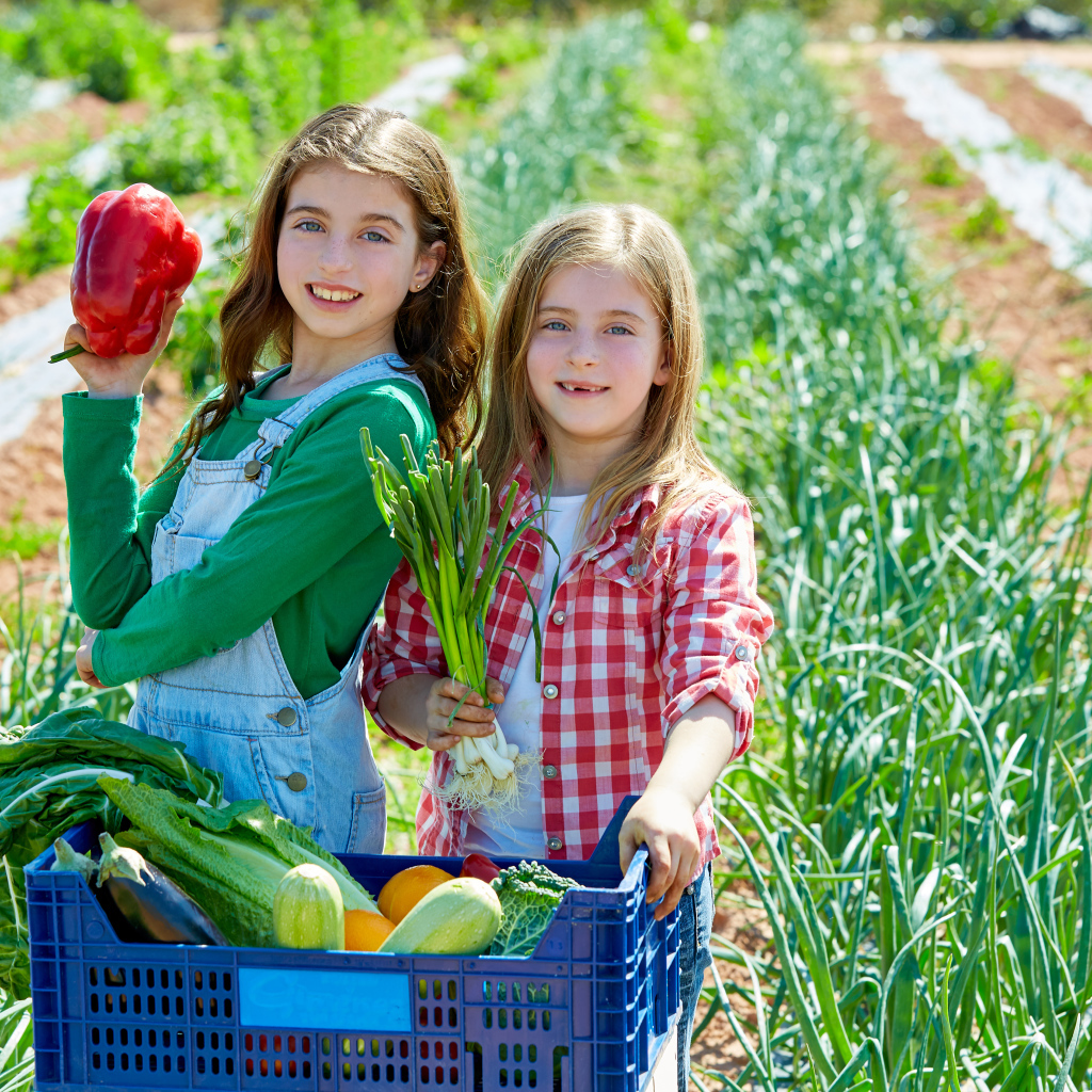 Две маленькие девочки собирают овощи на огороде