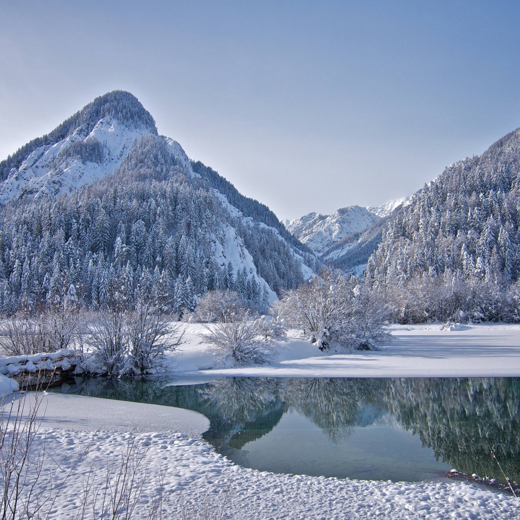 Горы с заснеженным лесом у озера зимой