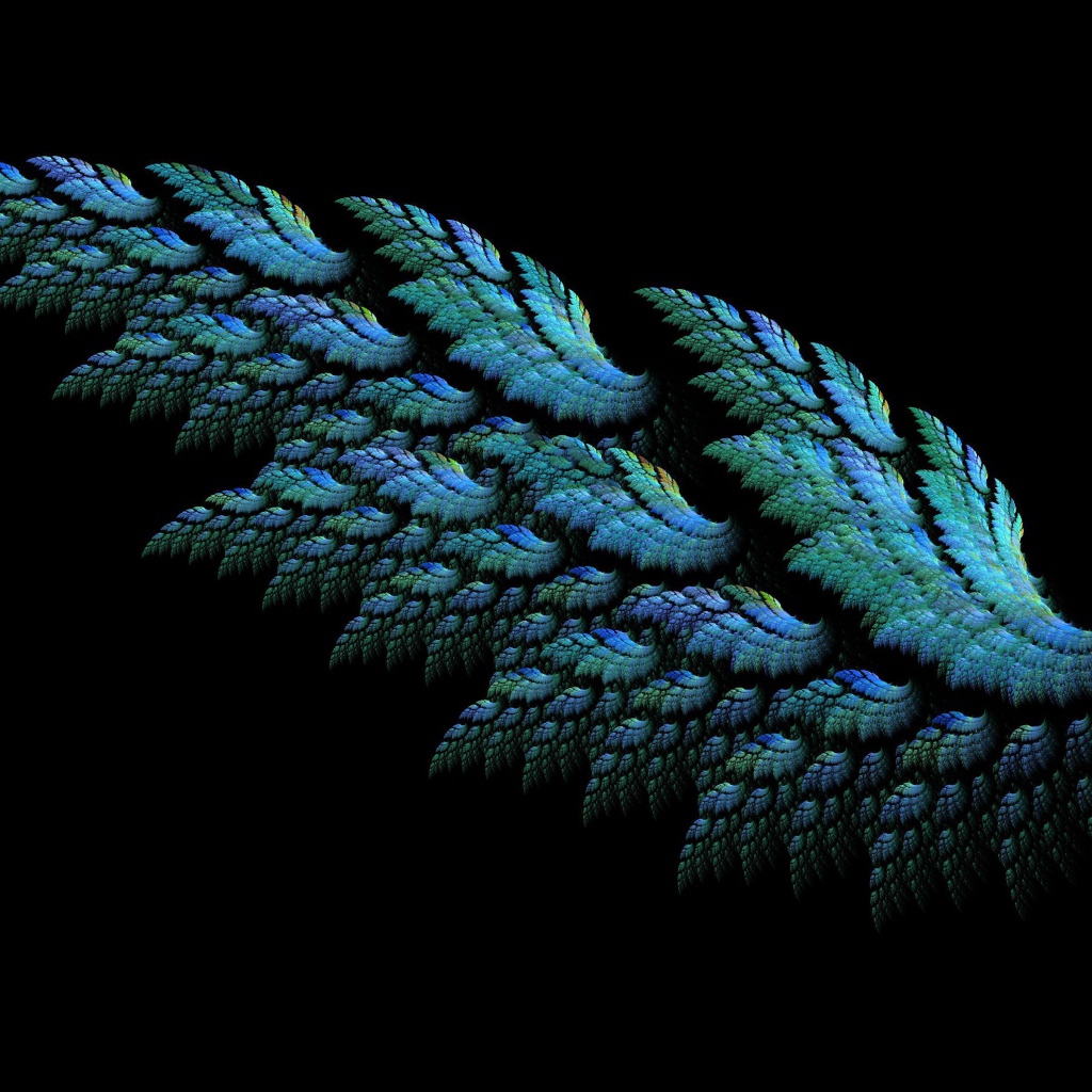 Красивое крыло на черном фоне 3д графика